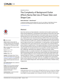 The Complexity of Background Clutter Affects Nectar Bat Use of
