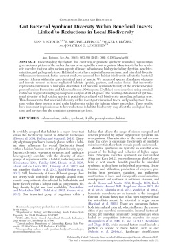 Gut Bacterial Symbiont Diversity Within Beneficial Insects Linked to