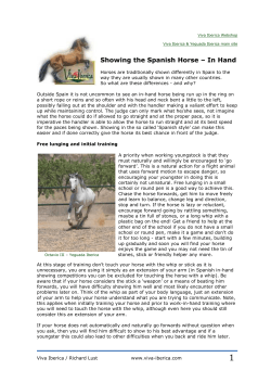Showing the Spanish Horse