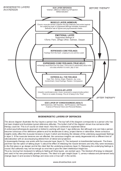 BIOENERGETIC LAYERS OF DEFENCES www.drcarloschan.com