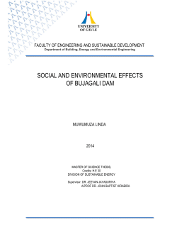 social and environmental effects of bujagali dam