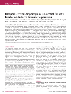 Basophil-Derived Amphiregulin Is Essential for UVB Irradiation