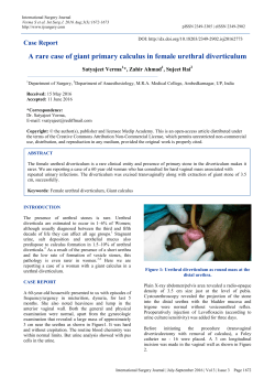 A rare case of giant primary calculus in female urethral diverticulum