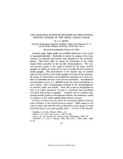 THE SELECTIVE ACTION OF NICOTINE ON THE CENTRAL