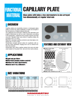 capillary plate - Hamamatsu Photonics