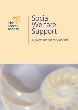 Social Welfare Support