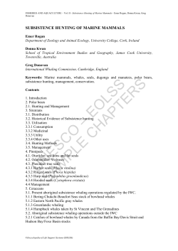 Subsistence Hunting of Marine Mammals