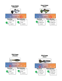 Fish Cards - Santa Fe Institute