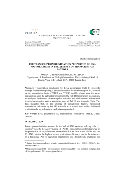 The transcription reinitiation properties of RNA polymerase III in the