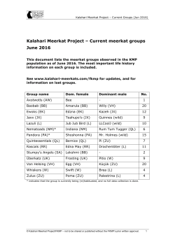 Current meerkat groups June 2016
