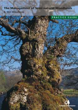 The Management of Semi-natural Woodlands: Wet Woodlands