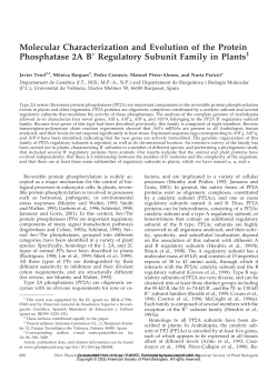 Molecular Characterization and Evolution of the Protein