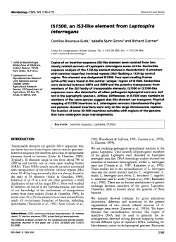 lS7500, an IS3-like element from Leptospira