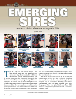 By Abbie Trexler - American Morgan Horse Association