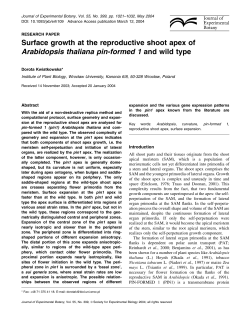 Surface growth at the reproductive shoot apex of Arabidopsis