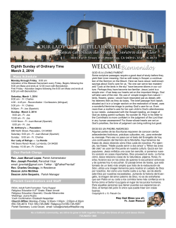 Eighth Sunday of Ordinary Time March 2, 2014