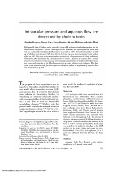 Intraocular pressure and aqueous flow are decreased by
