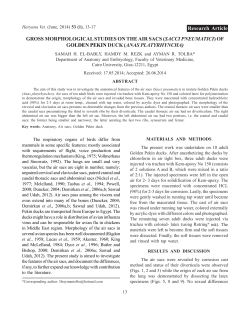GROSS MORPHOLOGICAL STUDIES ON THE AIR SACS ( SACCI