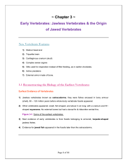 Chapter 3 ~ Early Vertebrates: Jawless Vertebrates