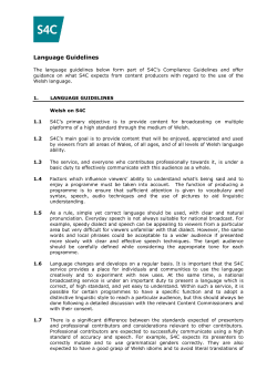 Language Guidelines