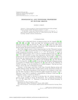 HOMOLOGICAL AND FINITENESS PROPERTIES OF PICTURE