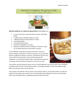 Butternut Squash Mashed Cauliflower w/ a Butternut Squash Swirl