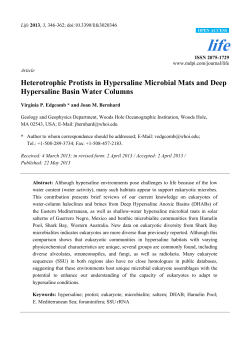 Heterotrophic Protists in Hypersaline Microbial Mats and Deep