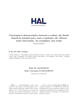 Convergence characteristics between a rodent, the South American