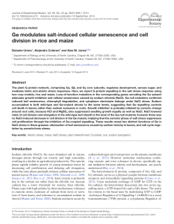jxb.oxfordjournals.org - Oxford Academic