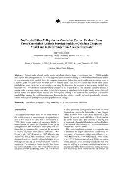 No Parallel Fiber Volleys in the Cerebellar