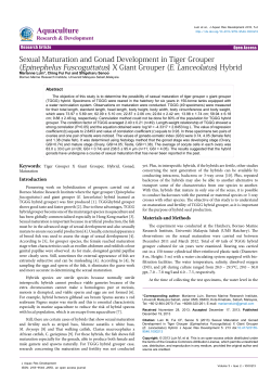 Sexual Maturation and Gonad Development in Tiger Grouper