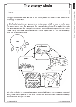 The energy chain - E