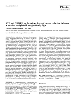 ATP and NADPH as the driving force of carbon reduction in leaves