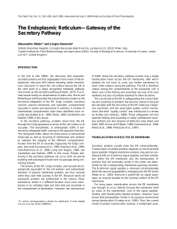 The Endoplasmic Reticulum&mdash;Gateway of the