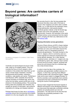 Beyond genes: Are centrioles carriers of biological