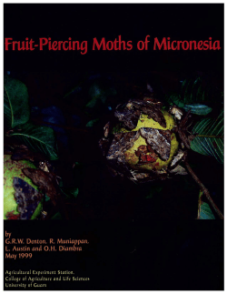 Fruit-Piercing Moths of Micronesia - www.CNAS