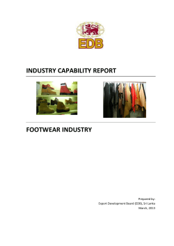 INDUSTRY CAPABILITY REPORT FOOTWEAR INDUSTRY