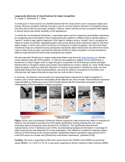 Large-scale discovery of visual features for object - Purdue e-Pubs