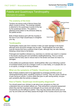 MUSCULOSKELETAL - Patella and Quadriceps Tendinopathy