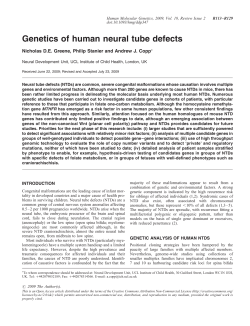 Genetics of human neural tube defects