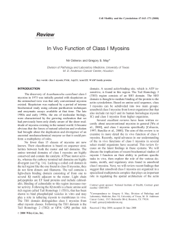 Review In Vivo Function of Class I Myosins