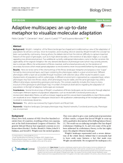 Adaptive multiscapes. An up-to-date metaphor to