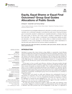 Equity, Equal Shares or Equal Final Outcomes? Group Goal Guides
