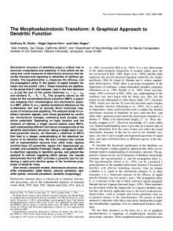 The Morphoelectrotonic Transform: A Graphical Approach to