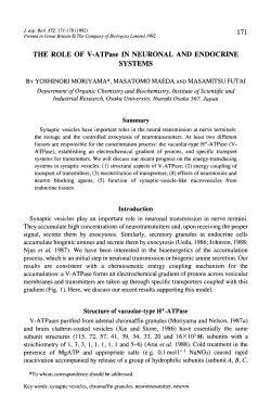 THE ROLE OF V-ATPase IN NEURONAL AND ENDOCRINE