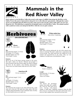 Mammals in the Red River Valley