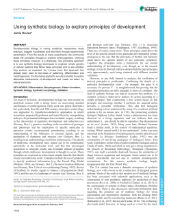 Fig. - Development - The Company of Biologists