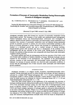 Formation of Enzymes of Autotrophic Metabolism