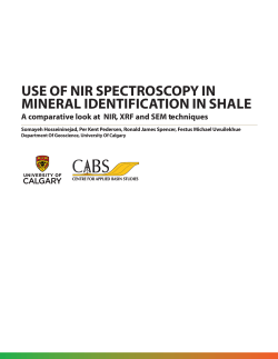 Use of NIR Spectroscopy in Mineral Identification in Shale