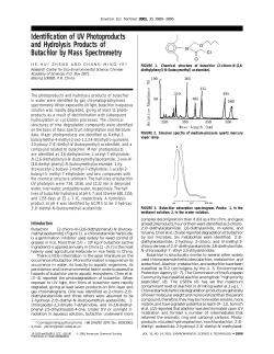 Identification of UV Photoproducts and Hydrolysis Products of